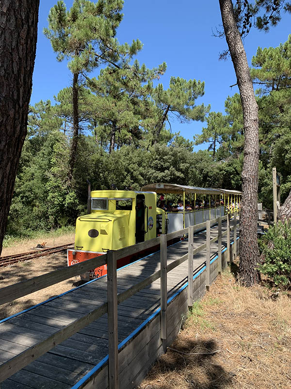 Petit train de saint trojan les bains Fleur de Sel